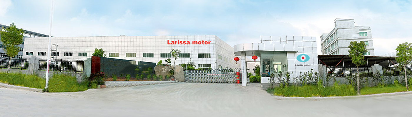 Larissa Company Show