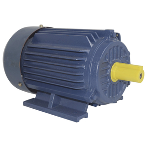 Three-phase Asynchronous Motor