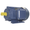 Three-phase Asynchronous Motor