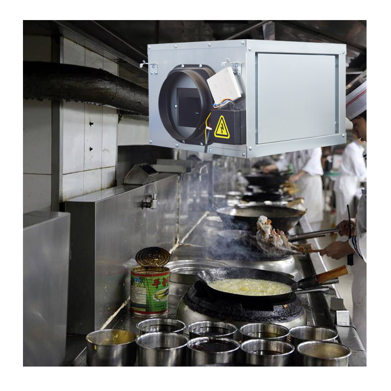 Commercial kitchen exhaust fume hood