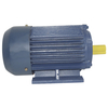 Three-phase Asynchronous Motor