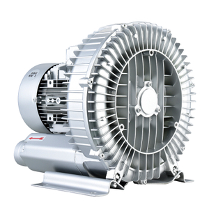 Silver High-pressure Vortex Air Pump