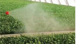 Greenhouse spraying