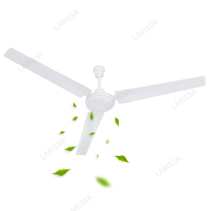 Practical household ceiling fan
