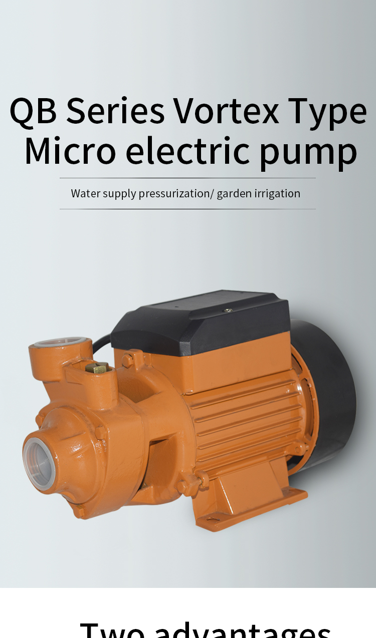Product details of vortex pump 1