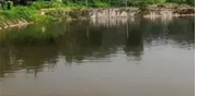 Fish Pond