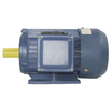 Three-phase Asynchronous Motor